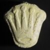Rolex MDMA For Sale