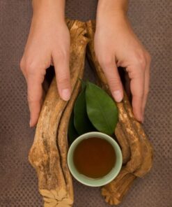 Buy Soul Herbs: Ayahuasca Online for Sale.