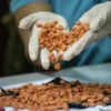 Buy DMT Pills For Sale